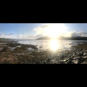 Meet your Posher, Tony